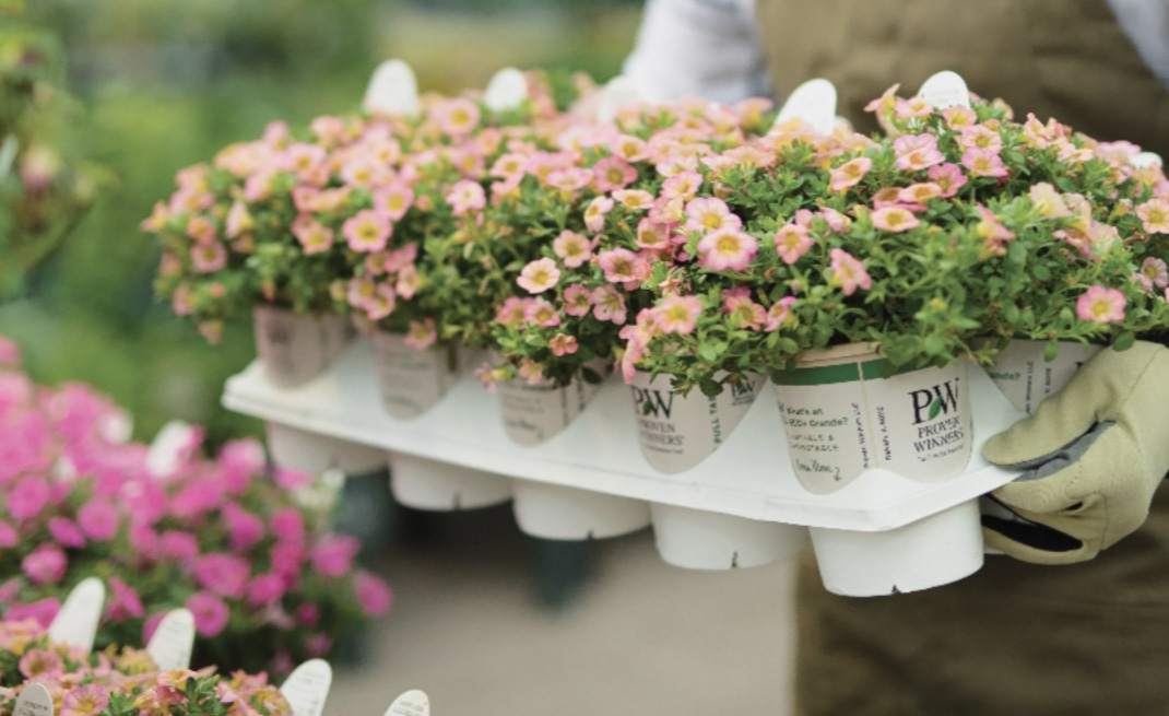 Proven Winners plants